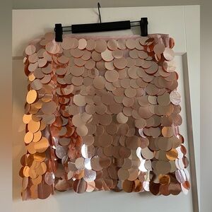 J. Crew A-Line Skirt with Metallic Discs